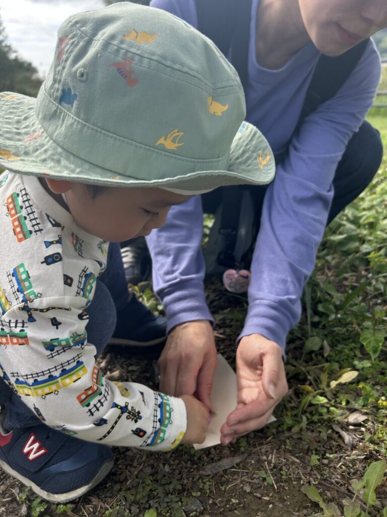 【報告】ひよっこ　～自分で考えた！～