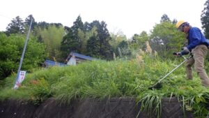 【里プロ】夏は草との戦い💦【報告】