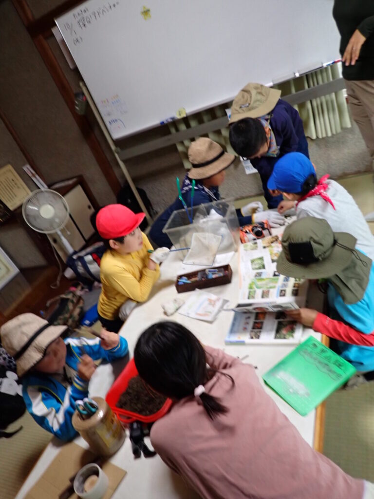 【報告】10月：〇〇ハウス・アクアリウムをつくりたい！「どうしたらできる？」の探究