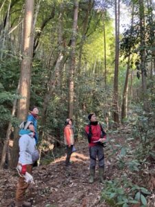 【里プロ】植生調査と整備計画を行いました！【報告】