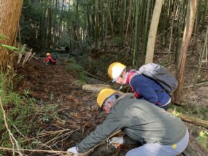 【里プロ】竹林を整備しました！【報告】